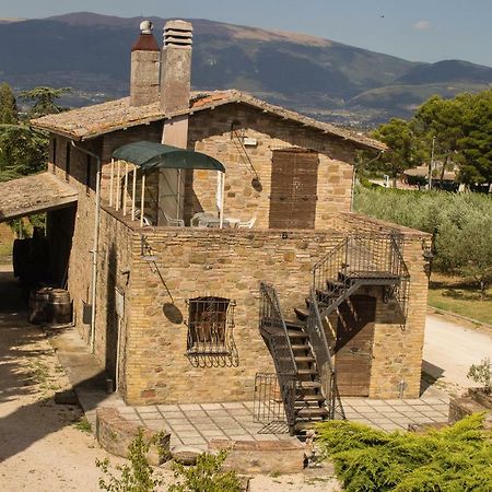 Country House Carmelita Limigiano Exteriér fotografie