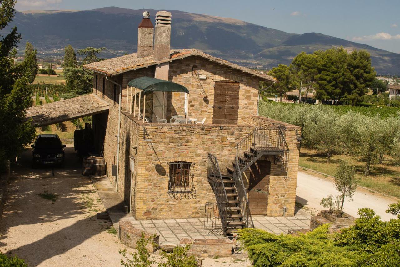 Country House Carmelita Limigiano Exteriér fotografie