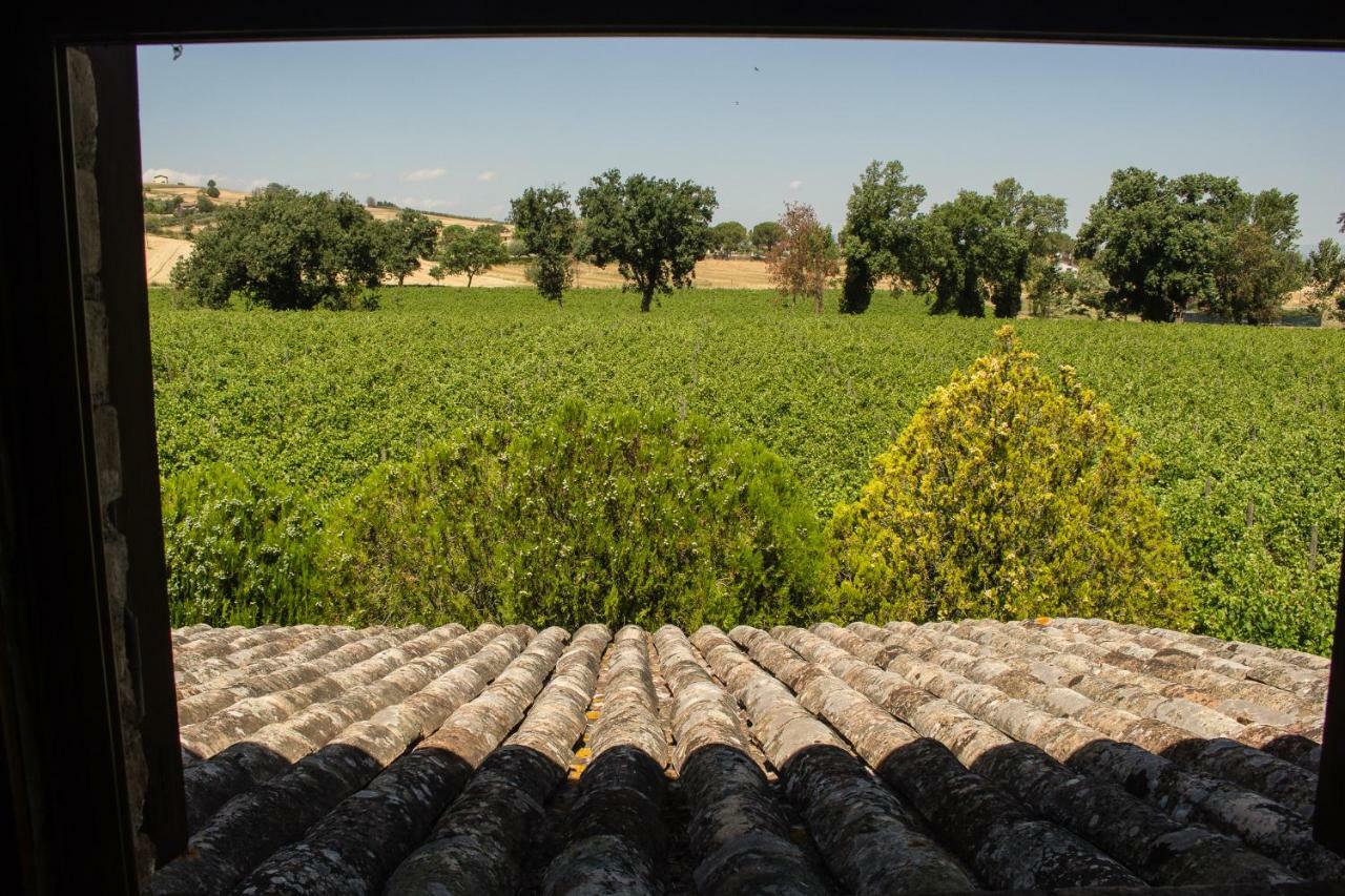Country House Carmelita Limigiano Exteriér fotografie